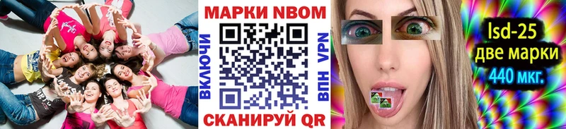 Купить закладки  Сегежа  Наркотические марки 1,8мг 